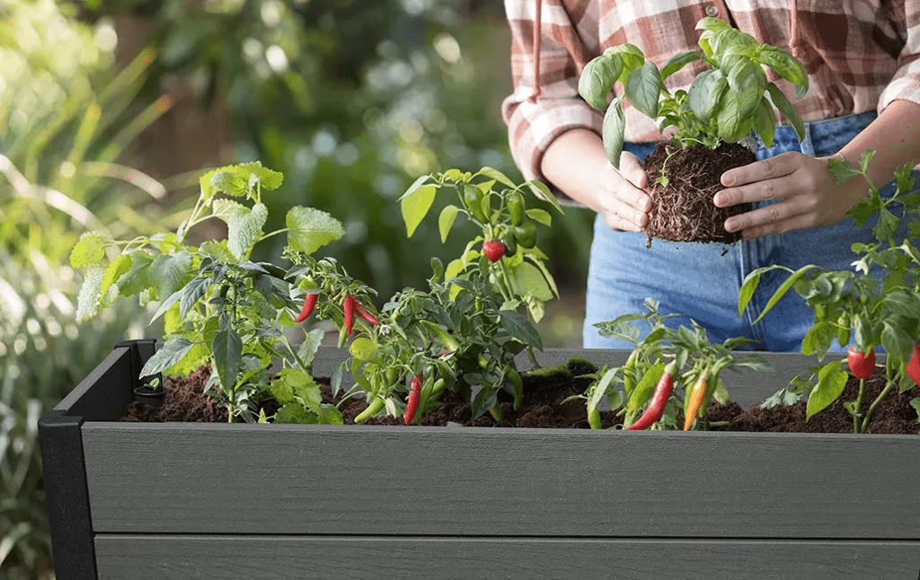 Keter Darwin Raised Garden Bed - Grey