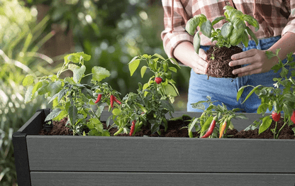 Keter Darwin Raised Garden Bed - Grey
