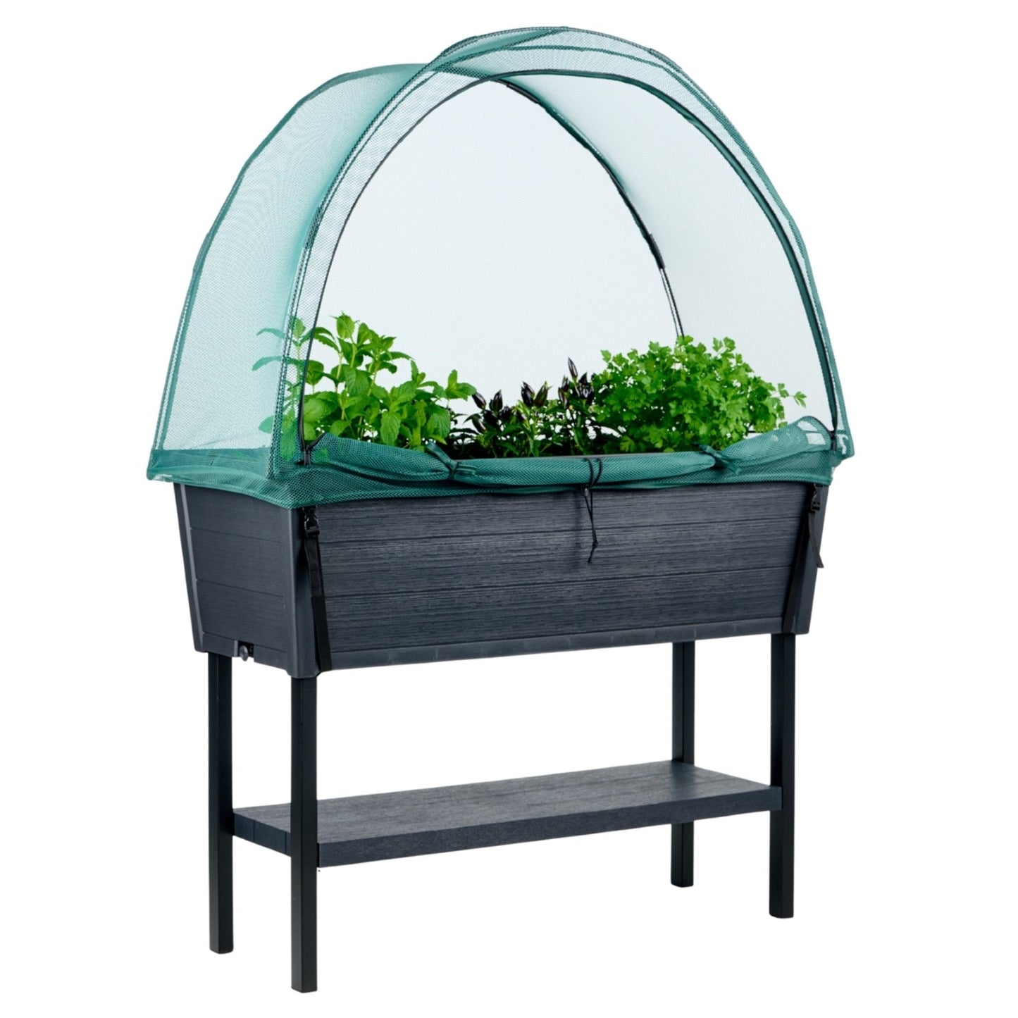 PRE ORDER: AUG. - Keter Alfresco Raised Garden Bed with NET Cover