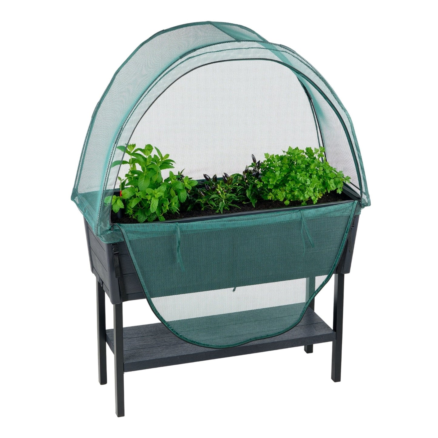 PRE ORDER: AUG. - Keter Alfresco Raised Garden Bed with NET Cover