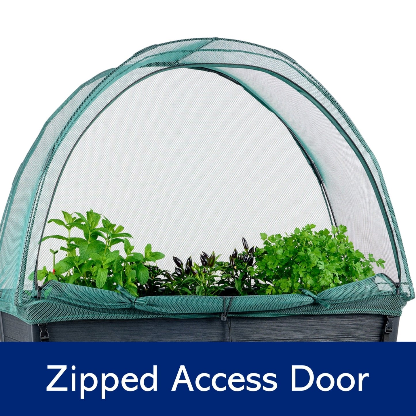 PRE ORDER: AUG. - Keter Alfresco Raised Garden Bed with NET Cover