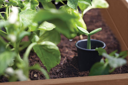 Keter Signature Elevated Garden Bed - Walnut Look